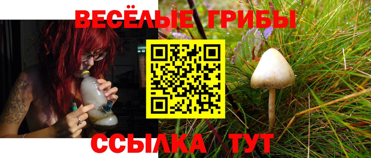 Котельники  Псилоцибиновые грибы мицелий  Вход с VPN  Псилоцибиновые грибы прущие грибы 